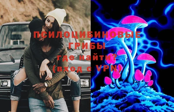 хмурый Богородицк