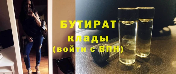 крисы Бородино