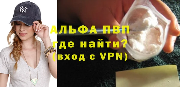 молекула духа Богданович