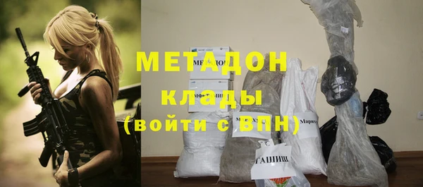 молекула духа Богданович