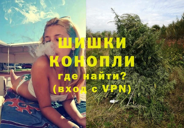 крисы Бородино