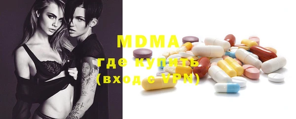 молекула духа Богданович