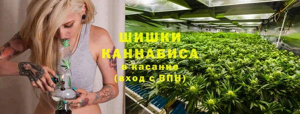 крисы Бородино