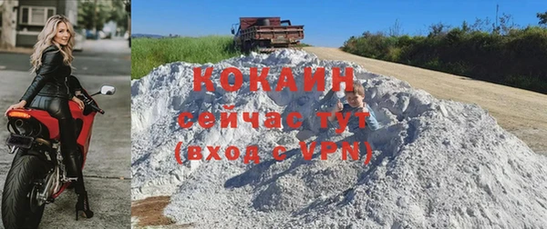 крисы Бородино