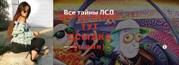 молекула духа Богданович