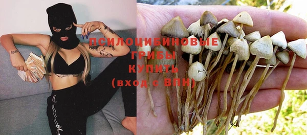 каннабис Бердск