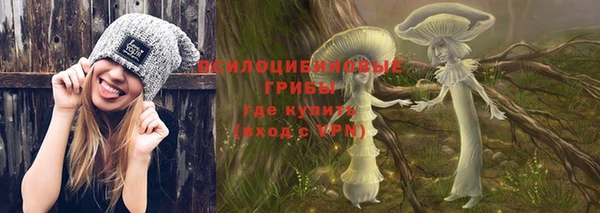 хмурый Богородицк