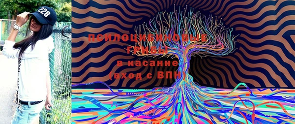 амф Богородск