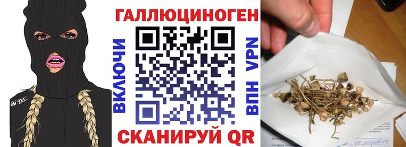 МЕГА зеркало  Высоцк  Псилоцибиновые грибы Cubensis 